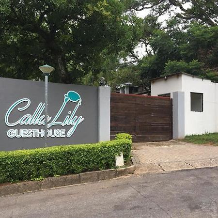 Calla Lily Guesthouse Νέλσπρουιτ Εξωτερικό φωτογραφία